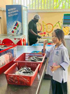 325a65d4 b9c1 412e 9088 e767872b999e